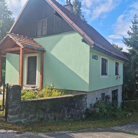 Forest Chalet Zalesina エクステリア 写真