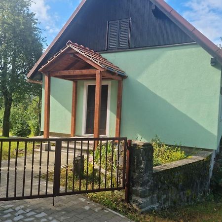 Forest Chalet Zalesina エクステリア 写真