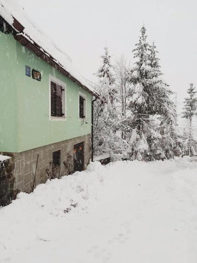 Forest Chalet Zalesina エクステリア 写真