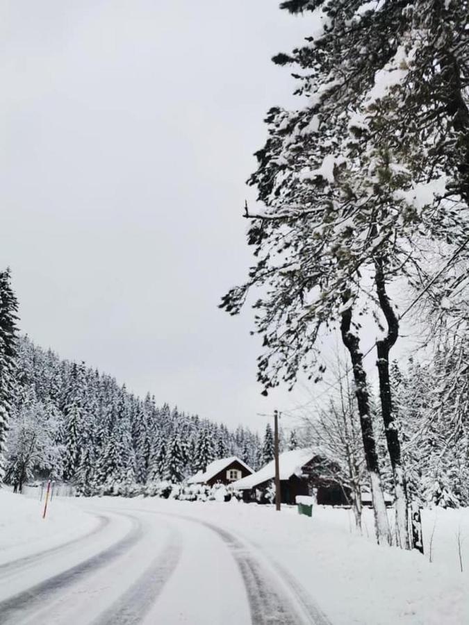 Forest Chalet Zalesina エクステリア 写真