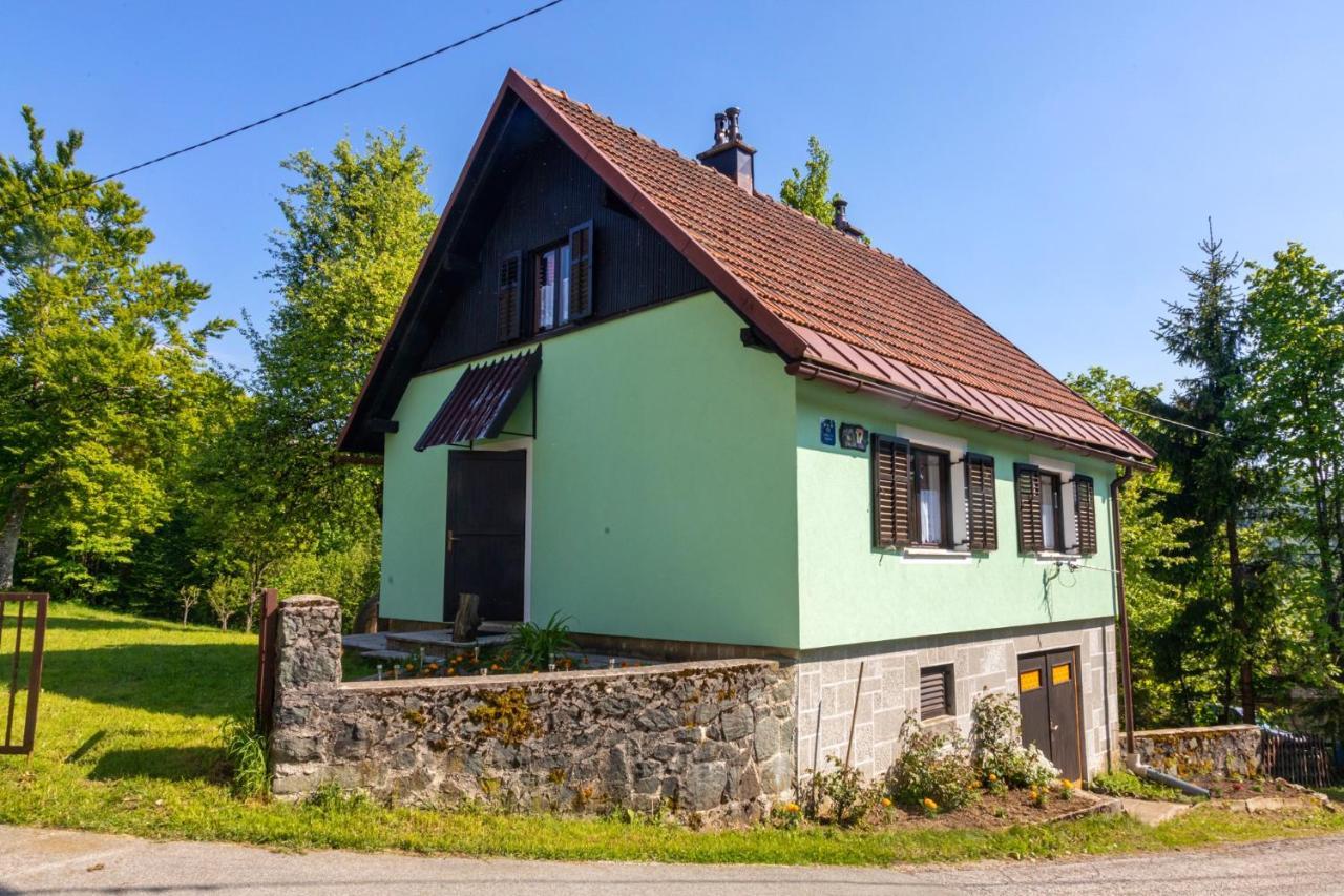 Forest Chalet Zalesina エクステリア 写真