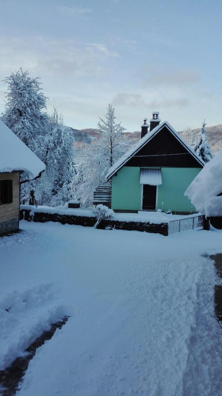 Forest Chalet Zalesina エクステリア 写真